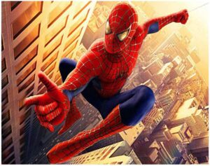 Kit de broderie diamant 5D Spider-Man à réaliser soi-même, motif 30,5 x 40,6 cm