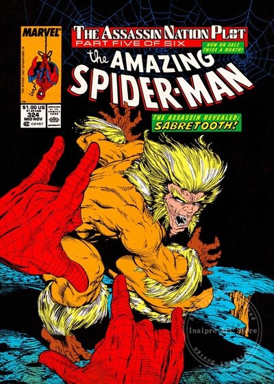 Tableau 324 The Amazing Spider-Man sans cadre